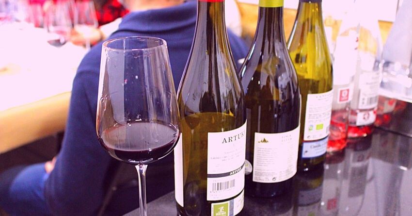 Curso de iniciación a la viticultura y enología con Cata de Vino guiado por experto en León