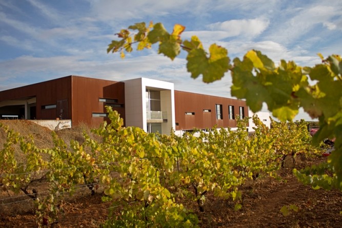 Visita a Bodega en León y degustación de Vino